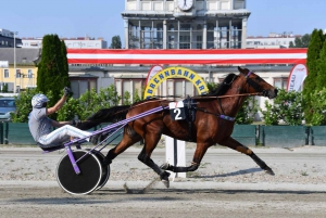 Krieau Historical Grandstand Tour incl. Race day