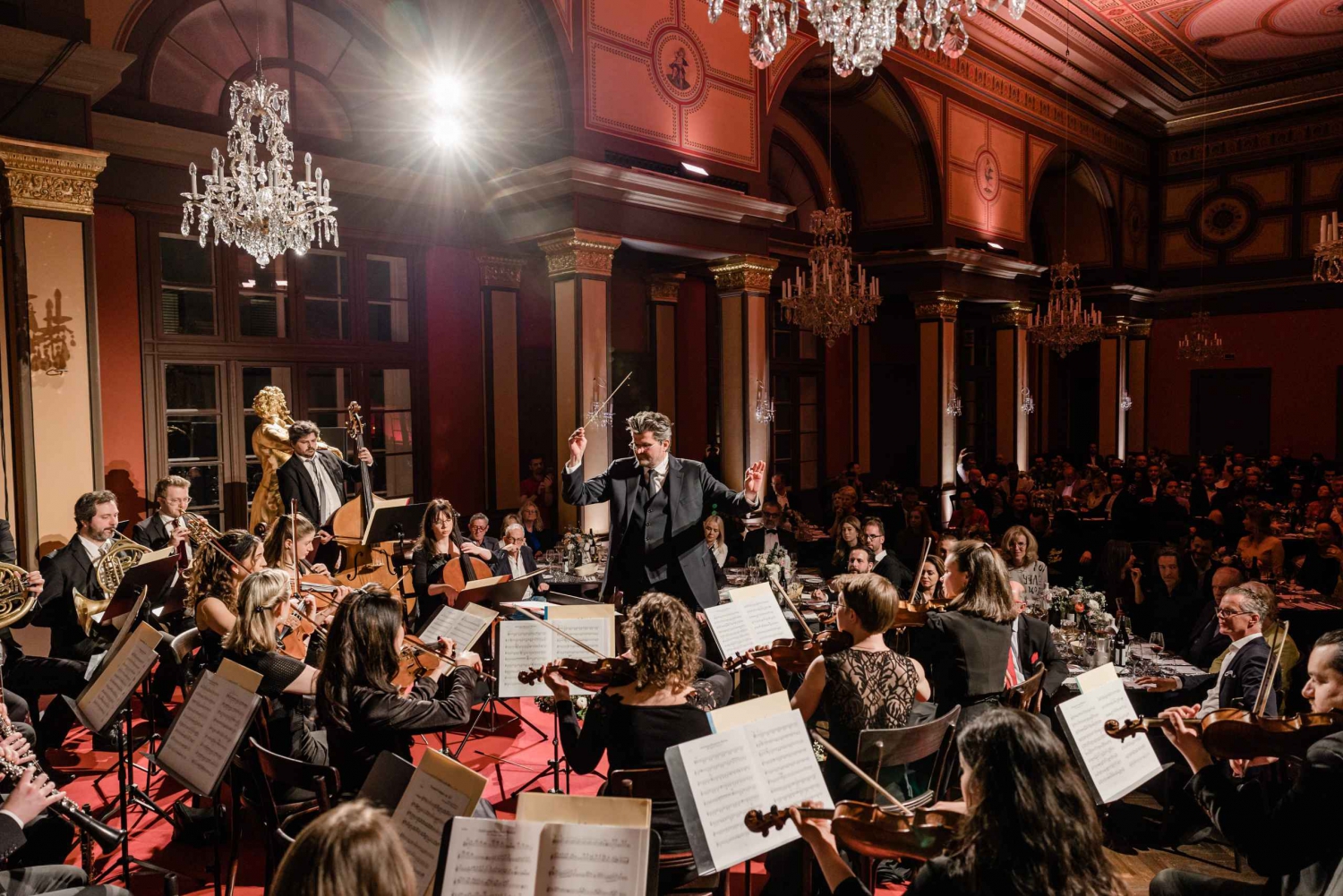 Casa de Strauss: Show de concerto incluindo museu (Categoria A)