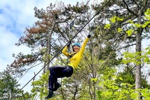 Kahlenberg Vienna: Лесной веревочный парк Входной билет и оборудование