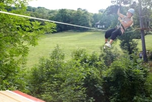 Kahlenberg Vienna: Лесной веревочный парк Входной билет и оборудование