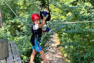 Kahlenberg Vienna: Лесной веревочный парк Входной билет и оборудование