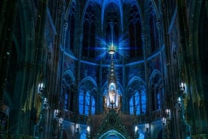 Vienna: Light of Creation Votive Church Immersive light show