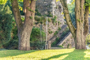 Linz: Yksityinen opastettu pyöräilykierros