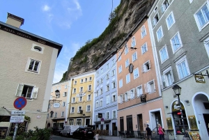 Excursión de lujo en furgoneta: Salzburgo, Hallstatt y mucho más para tu grupo