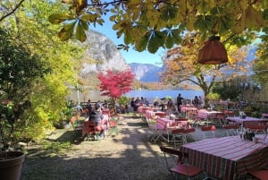 Luxury Van Tour: Salzburg, Hallstatt & More for Your Group