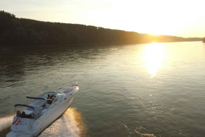 Luxury Yacht Experience on Danube in Vienna