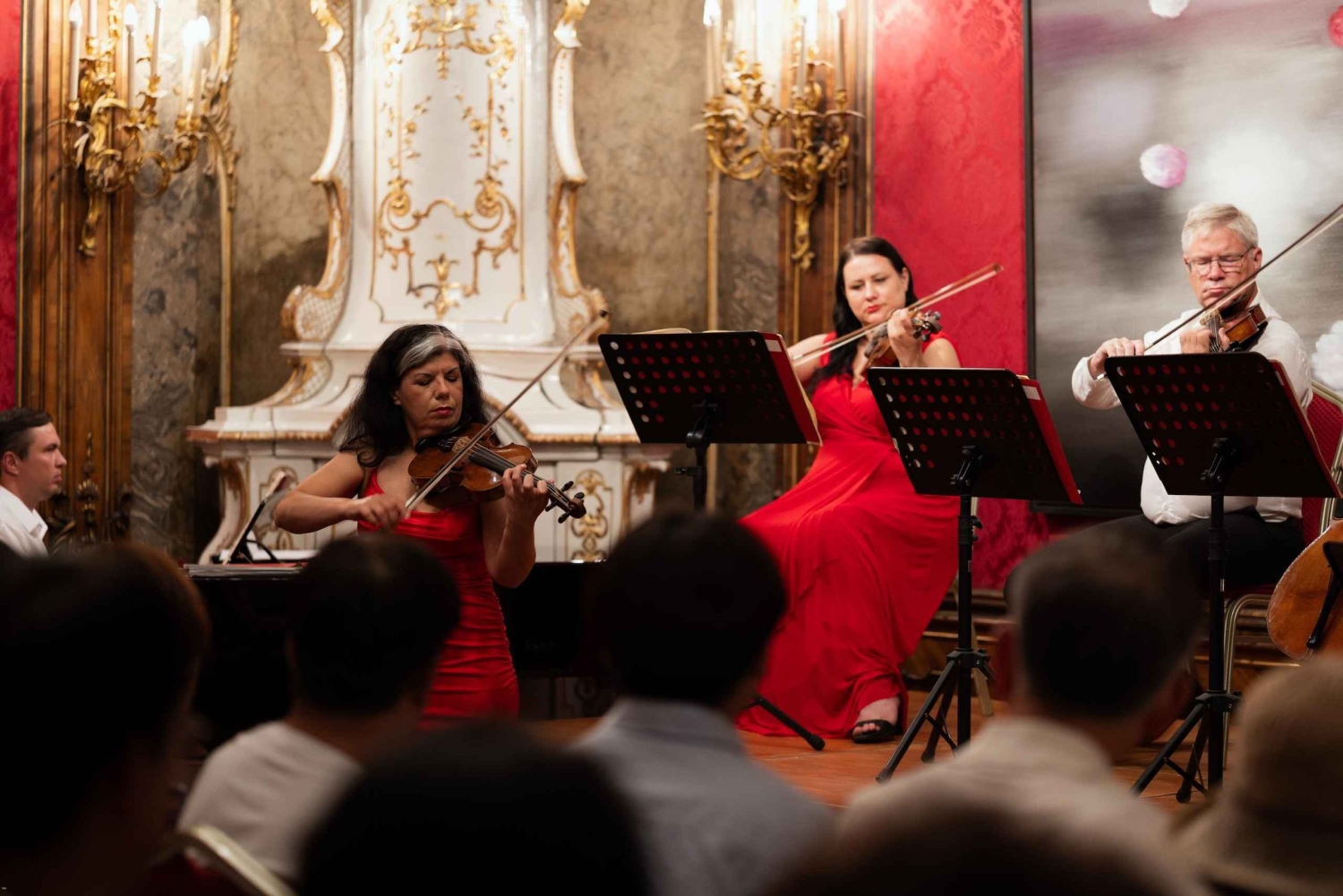 Matinee concert at Palais Schönborn
