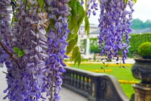Melk Abbey to Salzburg from Vienna: Baroque Gems