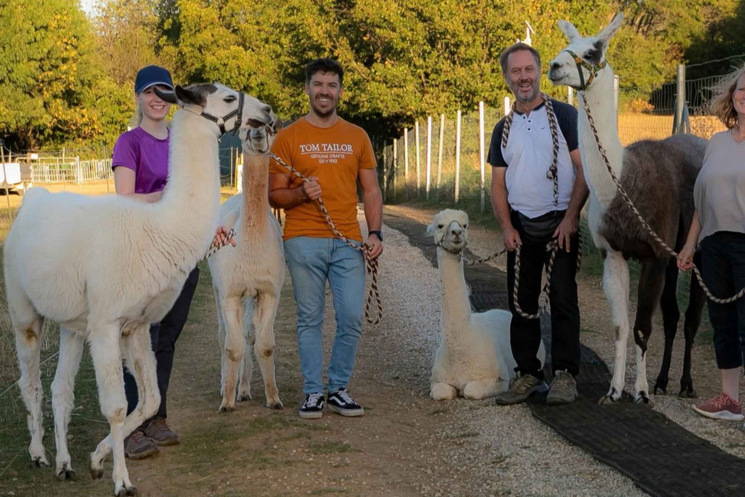 Mödling Vienna: Scenic Guided Hike with Alpacas and Llamas
