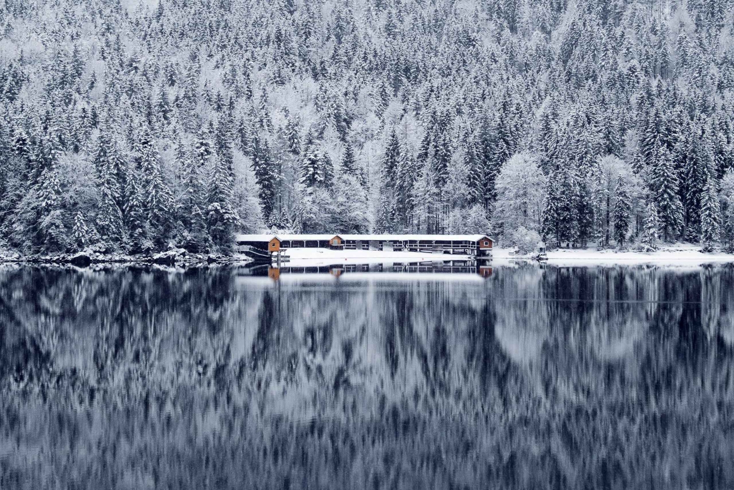 Munich: 4-Day Private Tour, Bavaria & Austria, Alps +Castles