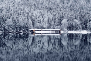 Munich: 4-Day Private Tour, Bavaria & Austria, Alps +Castles