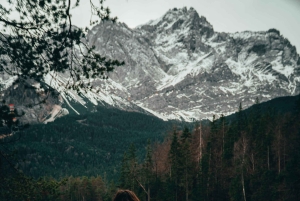 Munich: 4-Day Private Tour, Bavaria & Austria, Alps +Castles