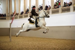 Performance Of The Lipizzans At Spanish Riding School