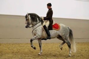 Scuola di equitazione spagnola: spettacolo dei Lipizzani