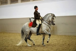 Spanska ridskolan i Wien: Ridshow med lipizzanerhästarna