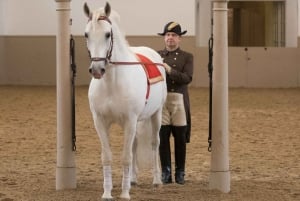 Escuela Española de Equitación: espectáculo de lipizzanos
