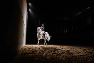 Performance Of The Lipizzans At Spanish Riding School