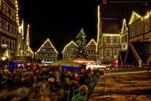 From Prague: Vienna Christmas Market Private Tour