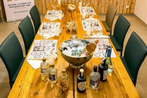 Premium gin tasting: production, variety and tasting