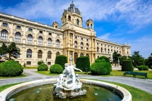 Privat dagsutflykt från Budapest till Wien och tillbaka