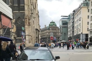 Private Tagestour nach Wien ab Budapest mit professionellem Guide