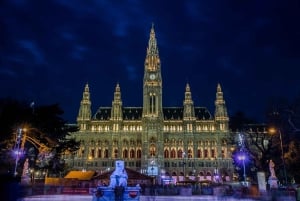 Private Tagestour nach Wien ab Budapest mit professionellem Guide