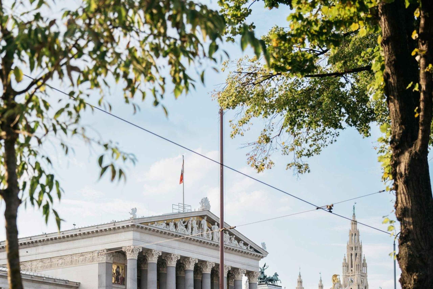 Prywatna półdniowa wycieczka po mieście Wiedeń, w tym Pałac Schönbrunn
