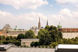 Private Half-day Vienna City Tour incl. Schönbrunn Palace