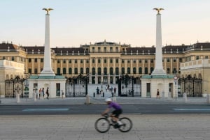 Passeio particular de meio dia pela cidade de Viena, incluindo o Palácio de Schönbrunn