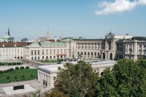 Tour privado de medio día por la ciudad de Viena incl. Palacio de Schönbrunn