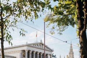 Prywatna półdniowa wycieczka po mieście Wiedeń, w tym Pałac Schönbrunn