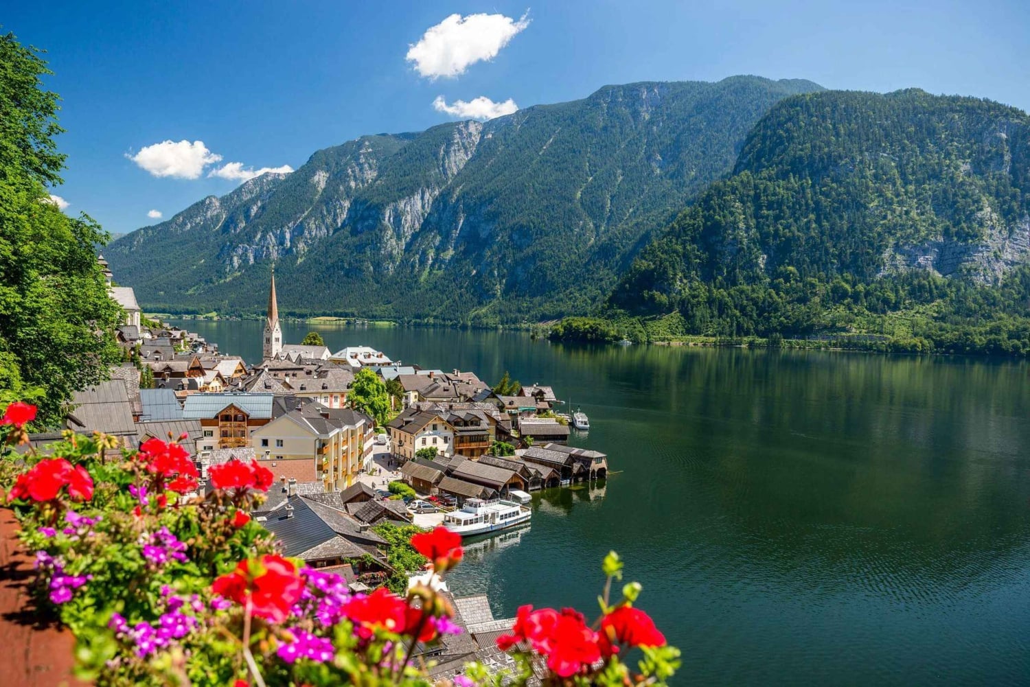 Privat naturskøn tur: Dürnstein, Melk, Hallstatt og Salzburg