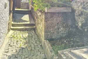 Privat naturskön rundtur: Dürnstein, Melk, Hallstatt och Salzburg