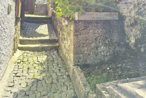 Privat naturskøn tur: Dürnstein, Melk, Hallstatt og Salzburg