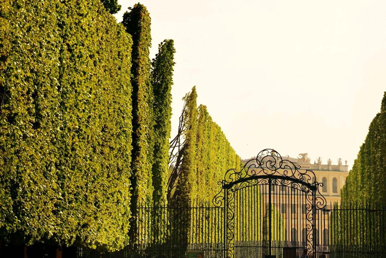 Частная экскурсия по дворцу Шёнбрунн: Вход включен