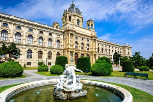 Tour privato da Salisburgo a Vienna e ritorno in inglese