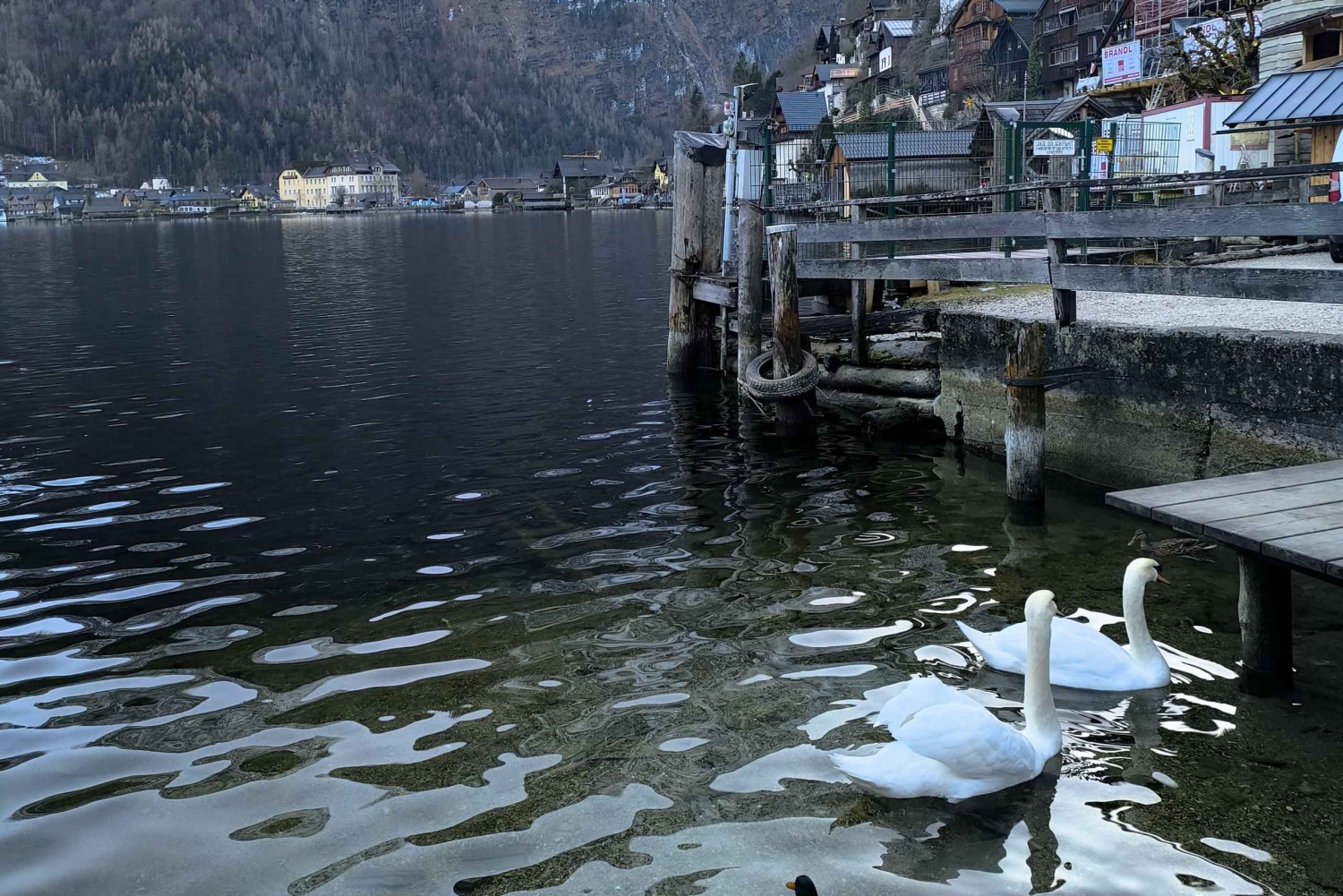 Privétour naar Hallstatt en Salzburg – Comfort en elegantie