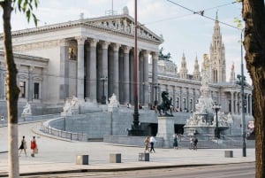 Privat stadsrundtur i Wien inkl. slottet Schönbrunn med minivan