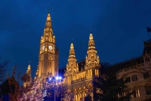 جولة ليلية خاصة في فيينا – القصور وأضواء المدينة