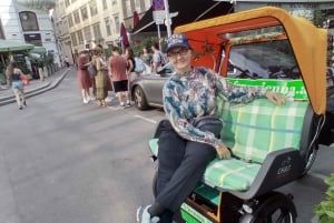 RAXI (elektrisk rickshaw) stor 3 timmars panoramatur Wien