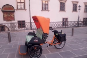 RAXI (elektrisk rickshaw) stor 3 timers panoramatur Wien