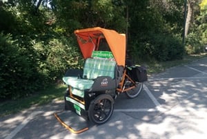 RAXI (elektrisk rickshaw) stor 3 timers panoramatur i Wien
