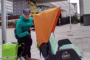 RAXI (electric rickshaw) big 3 hours tour Vienna
