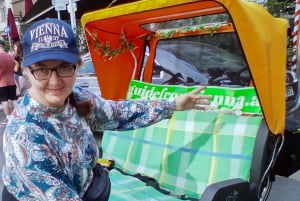 RAXI (Electric Rickshaw) Vienna 90 minutes tour