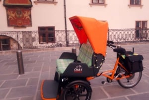 RAXI (elektrisk rickshaw) Wien 90 minuters rundtur