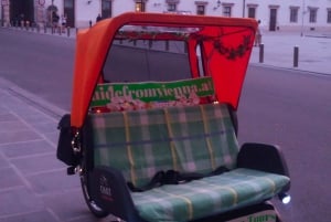 RAXI (elektrisk rickshaw) i Wien 90 minutters tur