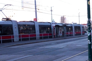 Ringstrasse,Hofburg&more Tours by public transport & walking