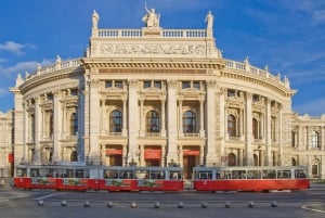 Salzburg: Wien: Wienin koko päivän yksityinen kiertoajelu kuljetuksen kanssa
