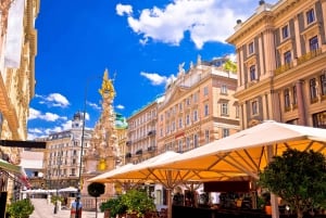 Salzburg: Wien heldags privat tur med transport