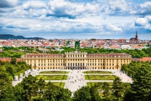 Salisburgo: tour privato di un'intera giornata a Vienna con trasporto